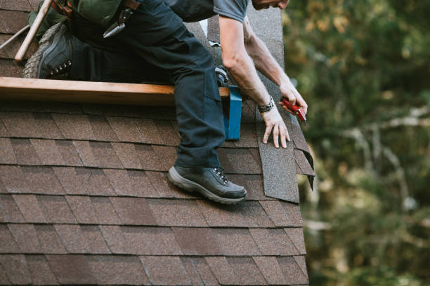 Best Roof Gutter Cleaning  in Howards Grove, WI